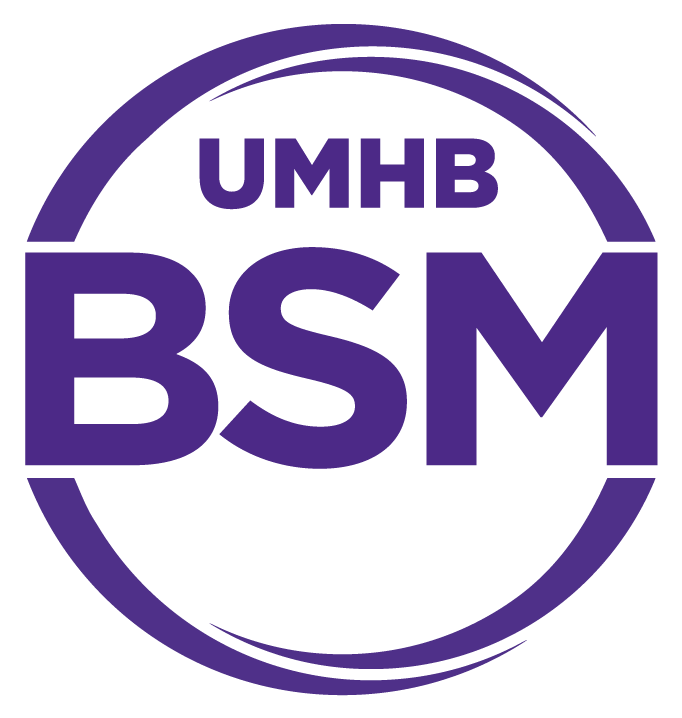  BSM Logo